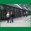 IMGP3857.JPG