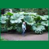 Schottlandreise_Baumann_2006_057.JPG